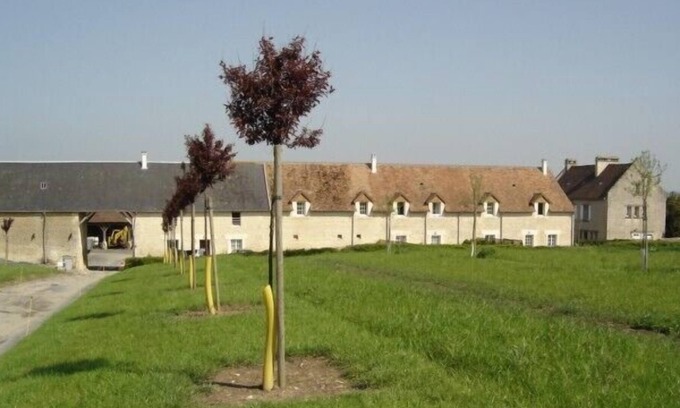 Petiville House | Bed and breakfast Clévacances 5km from Cabourg and Coast beaches