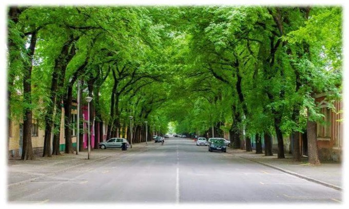 Kikinda Bed & Breakfast | Bed&Breakfast INTERMEZZO CAFFE