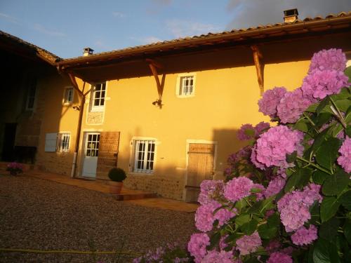 Messimy-sur-Saone House | Bed & Breakfast - Maison de Marie