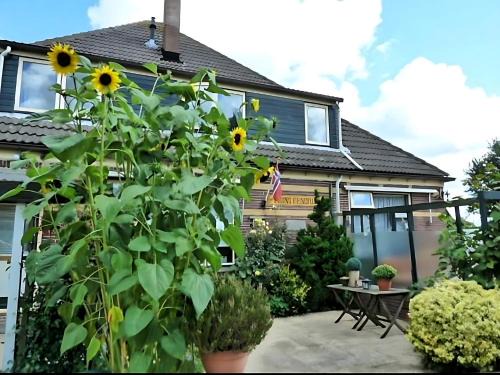 Zuidschermer Bed & Breakfast | Bed & Breakfast Prins Hendrik (Zuidschermer)