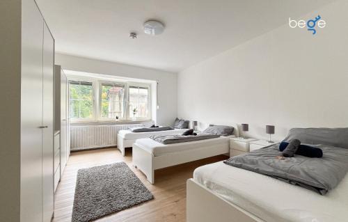 Hagen Apartment | BEGE APARTMENTS UrbanWork