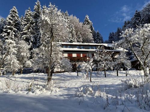 Scheffau am Wilden Kaiser Apartment | Beim Talschuster