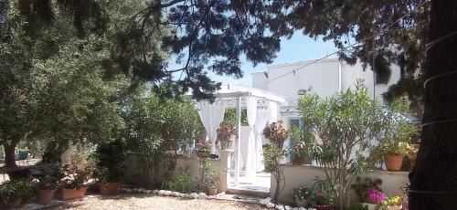 Carovigno House | Bellaterra