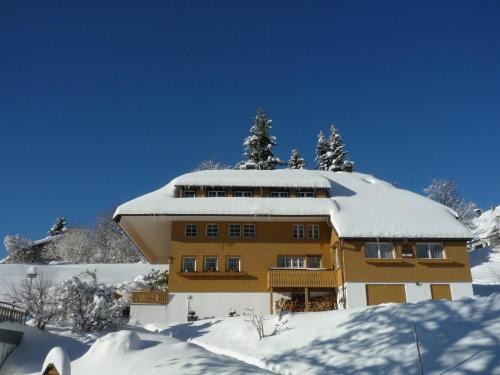 Todtnauberg Apartment | Berghof Almzeit - Fewo "Hüsli", Sauna, Todtnauberg, Feldberg