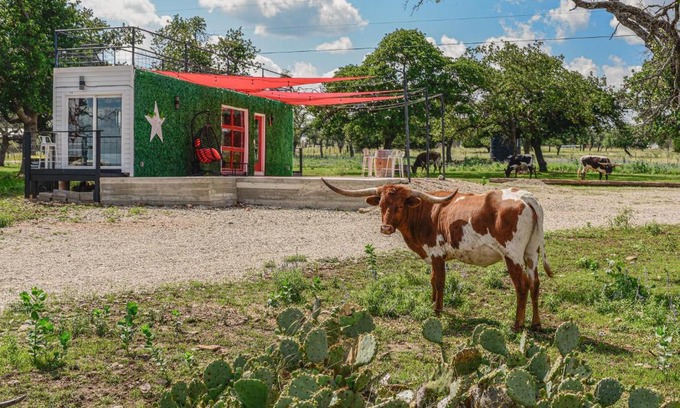 Fredericksburg Villa | Best Little Fredericksburg Texas Bed And Breakfast