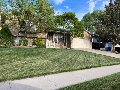 Clearfield House | Betty's Place II