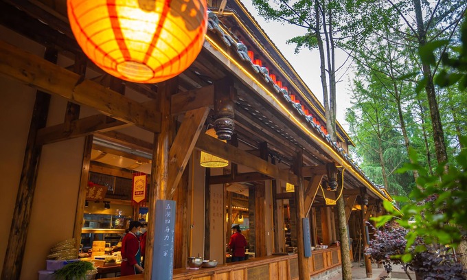 Dujiangyan Apartment | Bie You Dong Tian.Mountain home