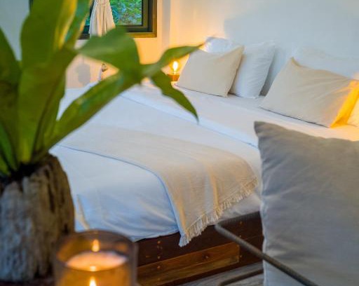 Koh Tao Hotel | Big Tree Boutique Hotel