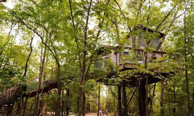 Eufaula Cabin | BIGFOOT’S ENCHANTING TREEHOUSE