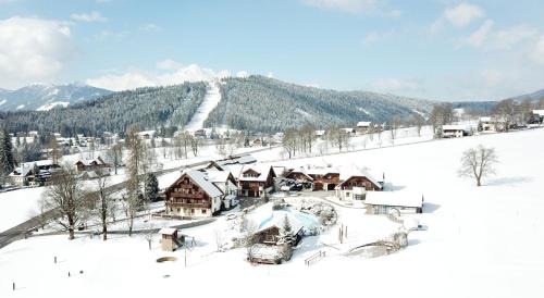 Ramsau am Dachstein House | Bio-Bauernhof Simonbauer