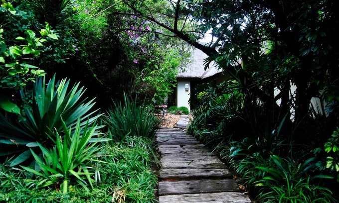 Greater Johannesburg Metropolitan Area Bed & Breakfast | Birch Tree Cottage