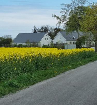 Otterup Bed & Breakfast | Birkelund BnB