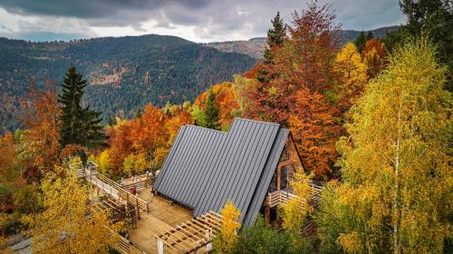 Horea Ski Chalet | Black Roof