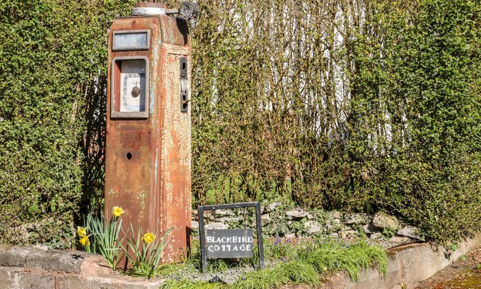 Jackfield Cottage | Blackbird Cottage