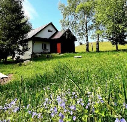 Paltinis House | Blidarei - Transilvanian Haven