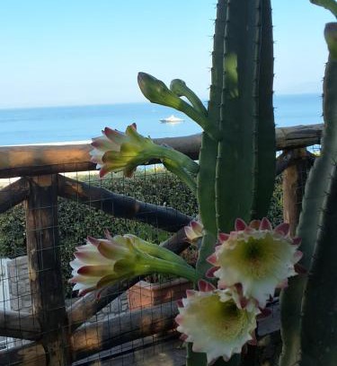 Massa Lubrense Ski Chalet | Blu Home