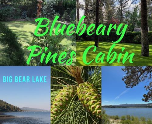 Winter Park House | BLUEBEARY PINES-PERFECT ESCAPE-PRIVATE HOT TUB-WALK to SKI SHUTTLES