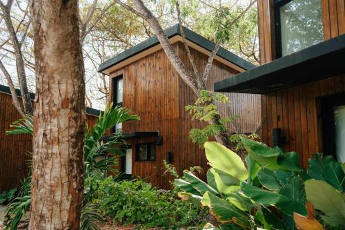 Las Escobas del Venado Apartment | Body - Oceanfront Jungle Loft