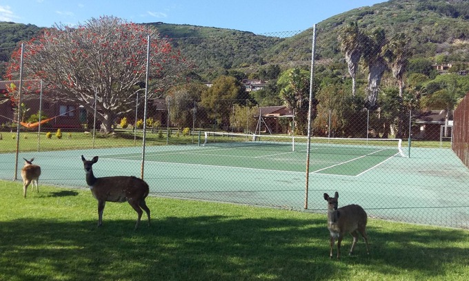 Lake Brenton House | Brenton Park Holiday Cottages