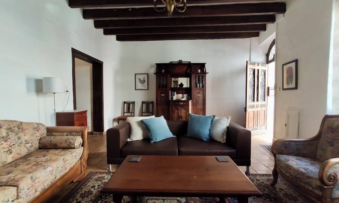 Salies-de-Bearn House | Bright and spacious authentic French townhouse with courtyard