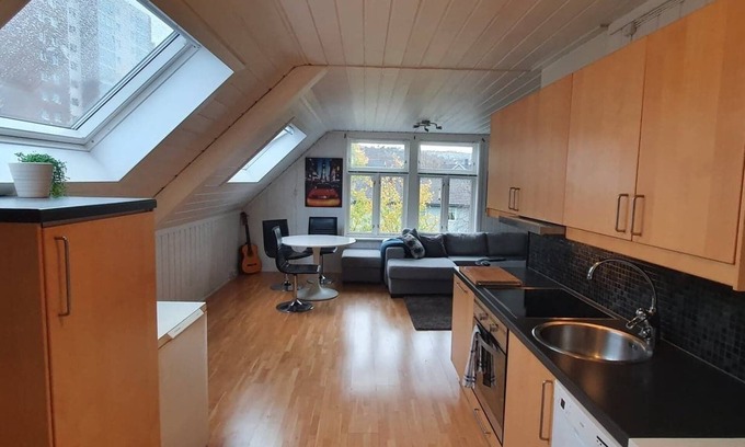 Trondheim Apartment | Bright and Spacious Apartment with Free Parking