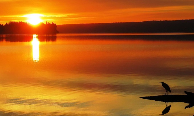 Lacey House | Bright cozy 3 Bedroom with Acess to Private Beach pet friendly!