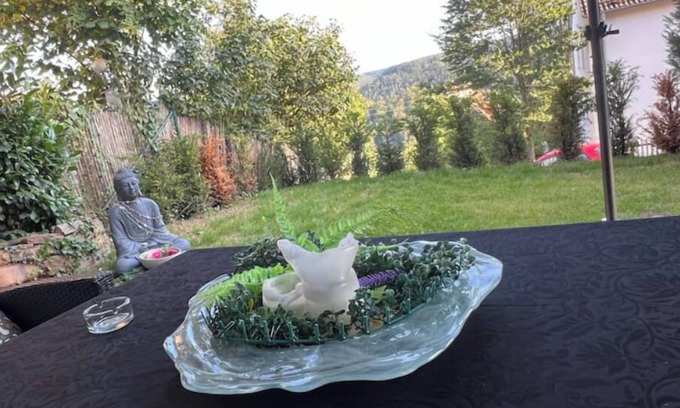 Neuenbuerg Apartment | Budahome in the Black Forest