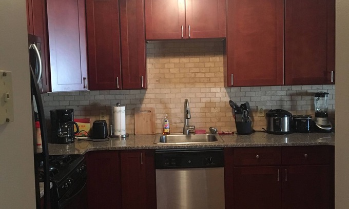 Willert Park House | Buffalo Downtown Condo/WIFI/Air/close to Falls/Spacious/Harbor center close