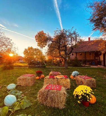 Mladenovac House | Bukovički mir