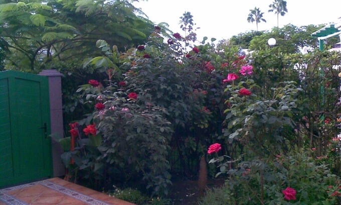 Maspalomas House | Bungalow with terrace and garden