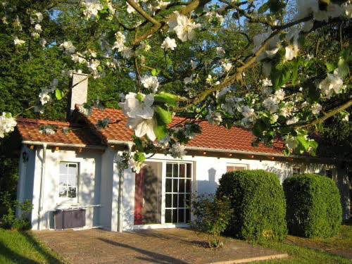 Oberhavel Resort | Bungalow am Haussee