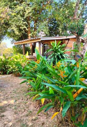 Mae Tha House | Bunnum Homestay