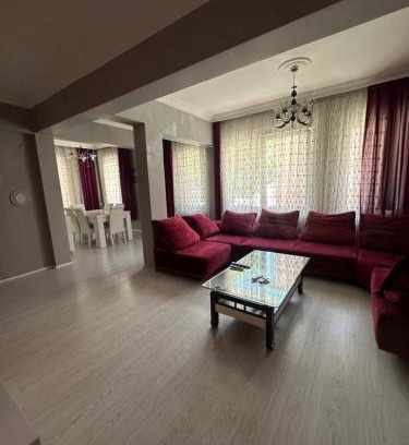 Osmangazi Apartment | Bursa central house