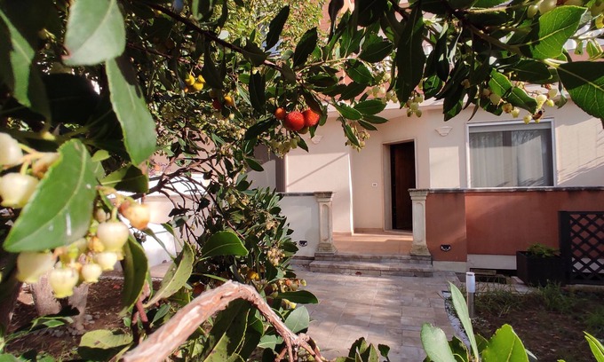 Cavallino Apartment | Butterfly cottage
