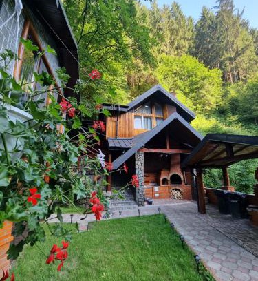 Rucar House | Căbănuța Cocoțată