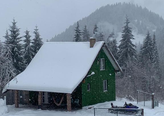 Borsa Cabin | Căbănuța din Pădure