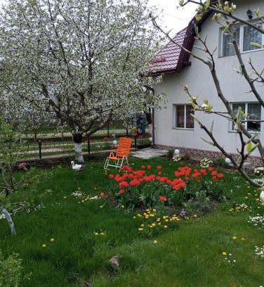 Dorna Candrenilor House | Căsuța Bunicilor