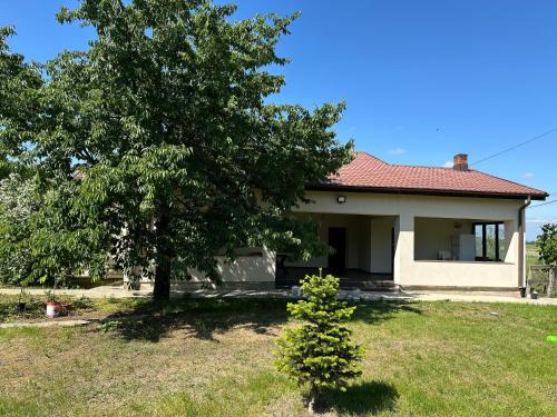 Bradu House | Căsuța de la țară