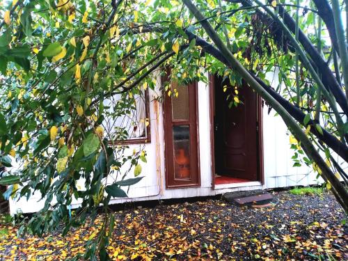 Valdivia Apartment | Cabaña Económica Independiente Veinte mil x persona Veintisiete mil x dos Valor total a pagar por cada noche Bienvenidos