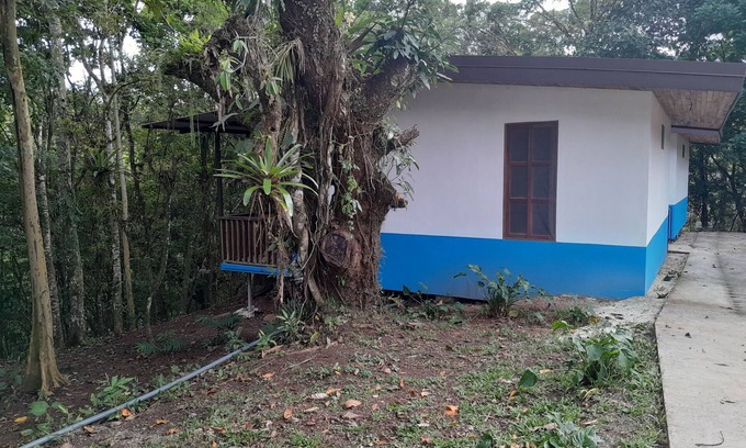 Carara Cabin | Cabaña Para 4 Personas Complejo Turistico Fuga Ecolodge la Lapa