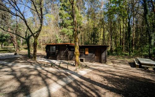 Ponteareas Ski Chalet | Cabaña quinta do Conde