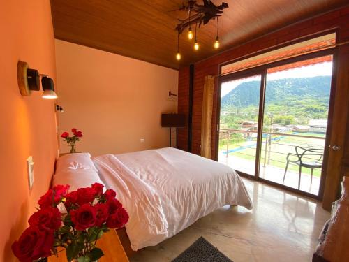 Mindo Cabin | Cabañas Armonía y Jardín de Orquídeas