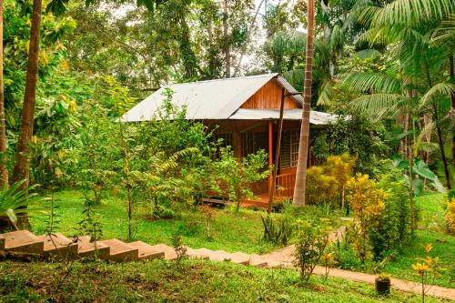 Puerto Narino Apartment | Cabañas Dechi