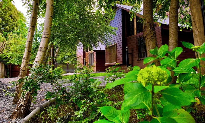 Lican Ray Cabin | Cabañas El Nativo - Licán Ray