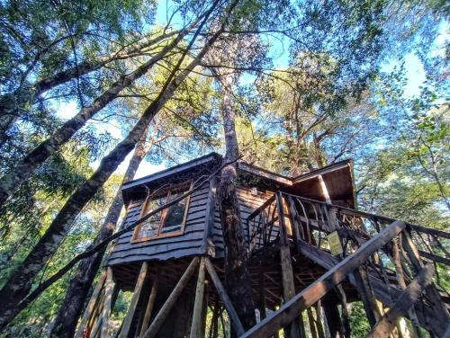 Pinto Ski Chalet | Cabañita del Árbol Cóndor