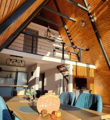 Traian Ski Chalet | Cabana Alive - Colibita
