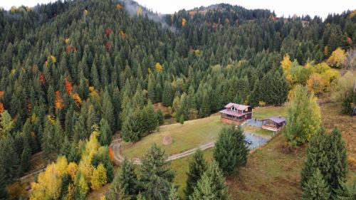 Borsa Ski Chalet | Cabana din Munți