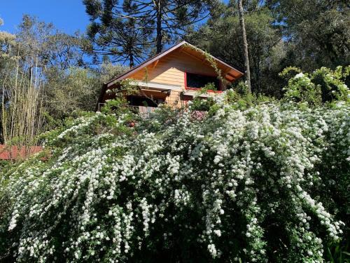 Urubici Ski Chalet | Cabana na montanha