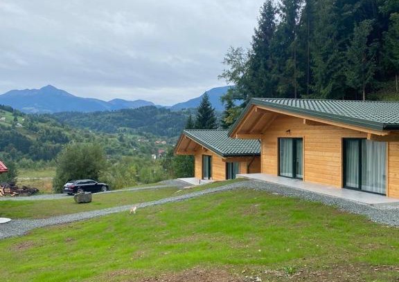 Borsa House | Cabanele Olena