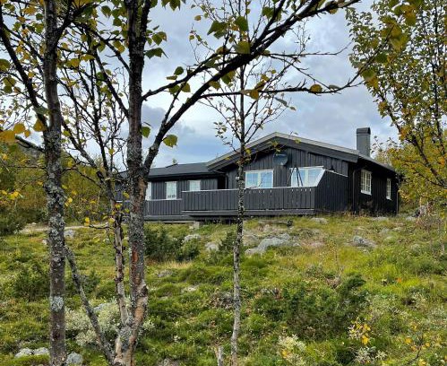 Nore og Uvdal House | Cabin In Uvdal With A View Ski-Inout